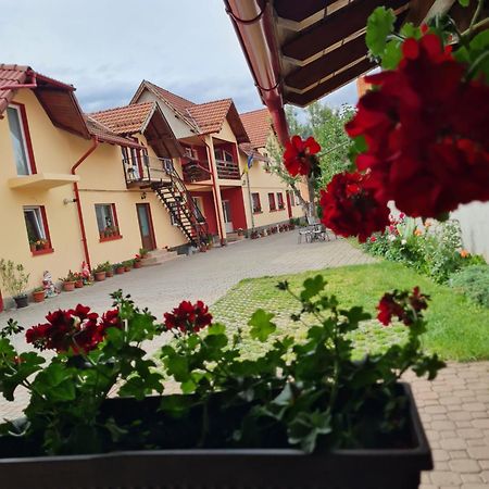 Vila Vlăduț Zărneşti Exterior foto
