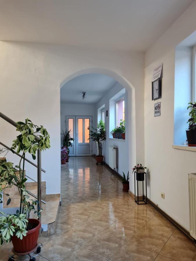 Vila Vlăduț Zărneşti Exterior foto