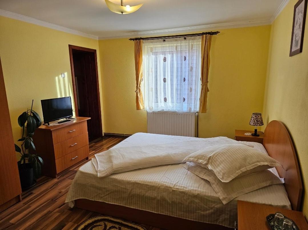 Vila Vlăduț Zărneşti Exterior foto